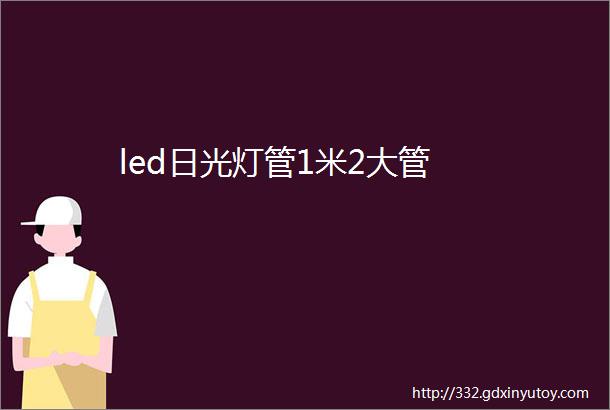 led日光灯管1米2大管