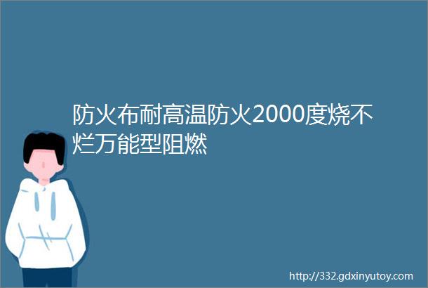 防火布耐高温防火2000度烧不烂万能型阻燃