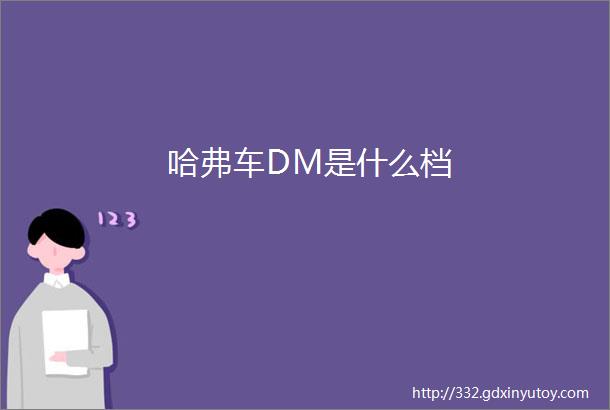 哈弗车DM是什么档